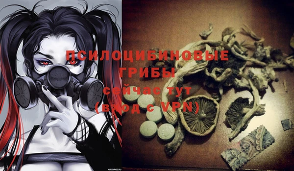 мет Аркадак