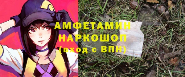 индика Арсеньев
