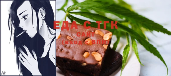 индика Арсеньев