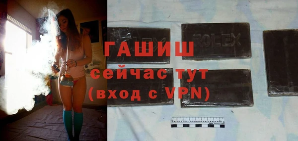 индика Арсеньев