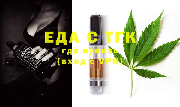 индика Арсеньев