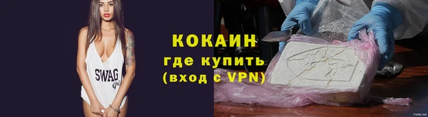 индика Арсеньев