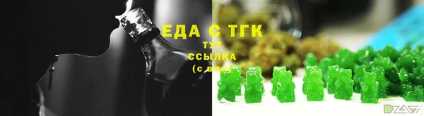 индика Арсеньев