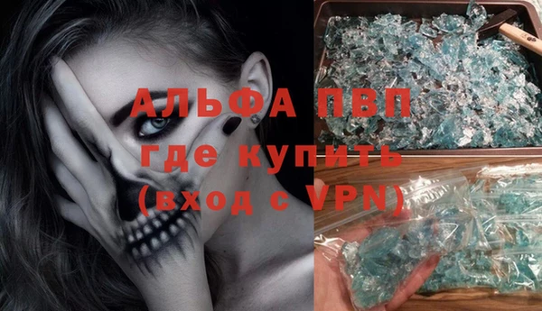индика Арсеньев