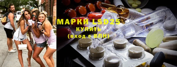 индика Арсеньев