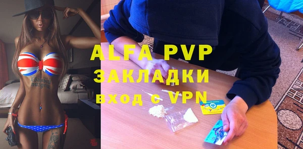 индика Арсеньев