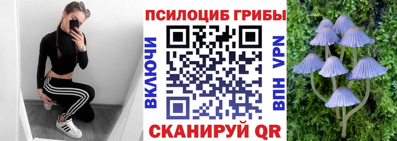 как найти Воркута Галлюциногенные грибы MAGIC MUSHROOMS