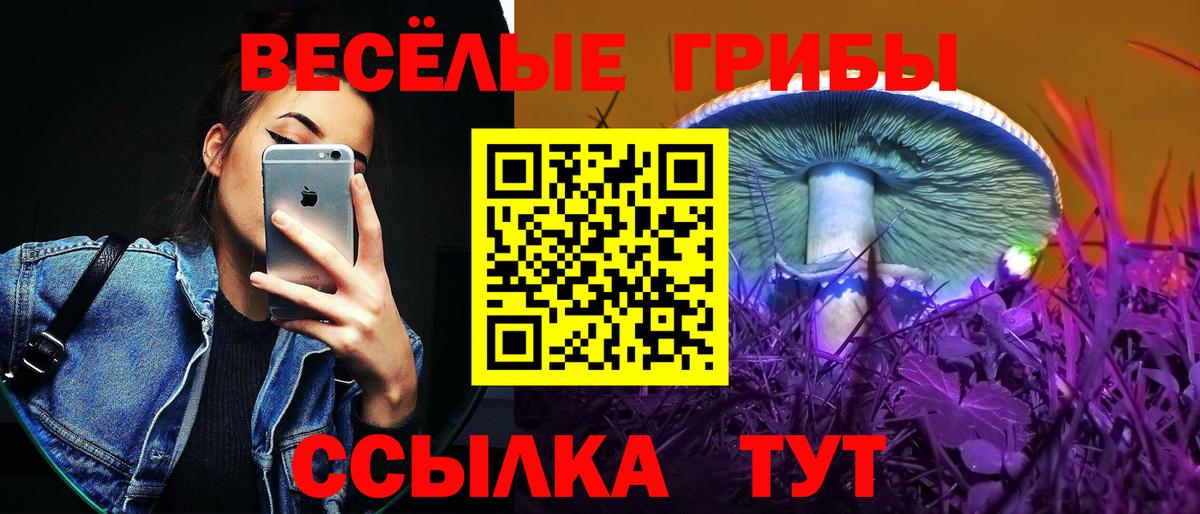 Галлюциногенные грибы MAGIC MUSHROOMS  Псилоцибиновые грибы прущие грибы  Вход с VPN  Воркута 